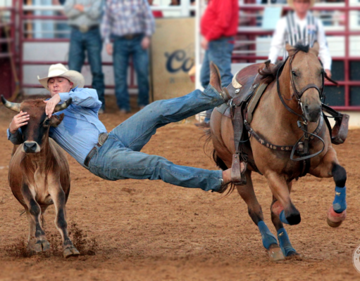 North Texas Fair and Rodeo Get ready for the 90th annual North Texas State Fair and Rodeo.