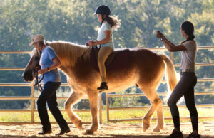 3rd Annual Manegait Country Fair